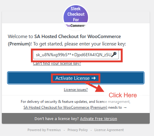 continue after activating the license key