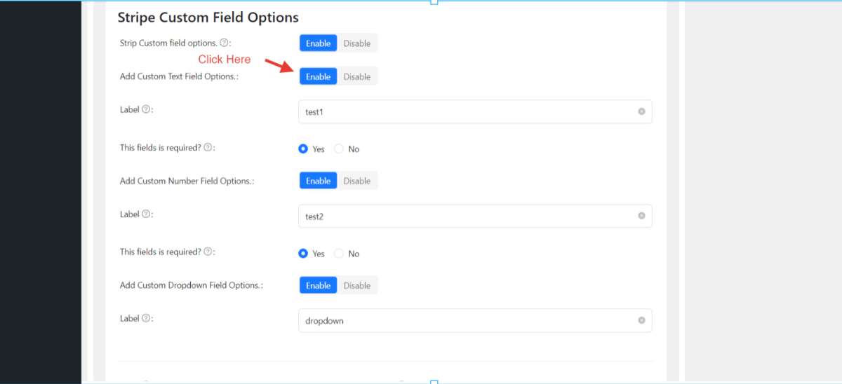 Stripe Custom Field Options