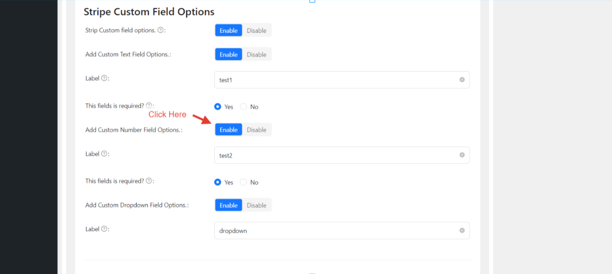 Add Custom Number Field Options