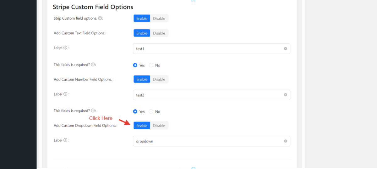 Add Custom Dropdown Field